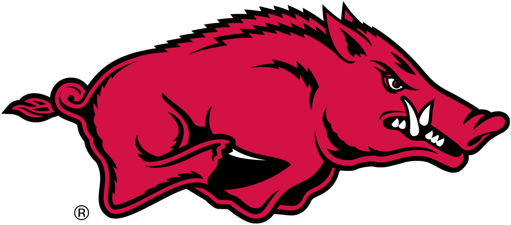 Arkansas Razorbacks 2001-Pres Primary Logo diy iron on heat transfer